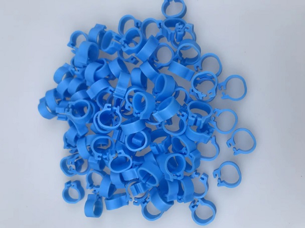 cleme clipsuri pentru porumbei